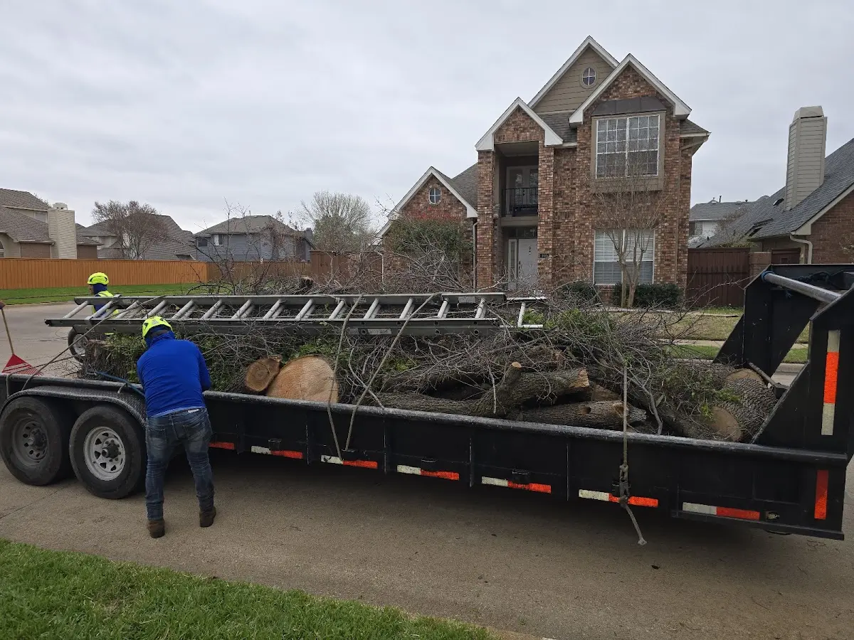 Expert Tree Fertilization with proper safety equipment in Edgewood